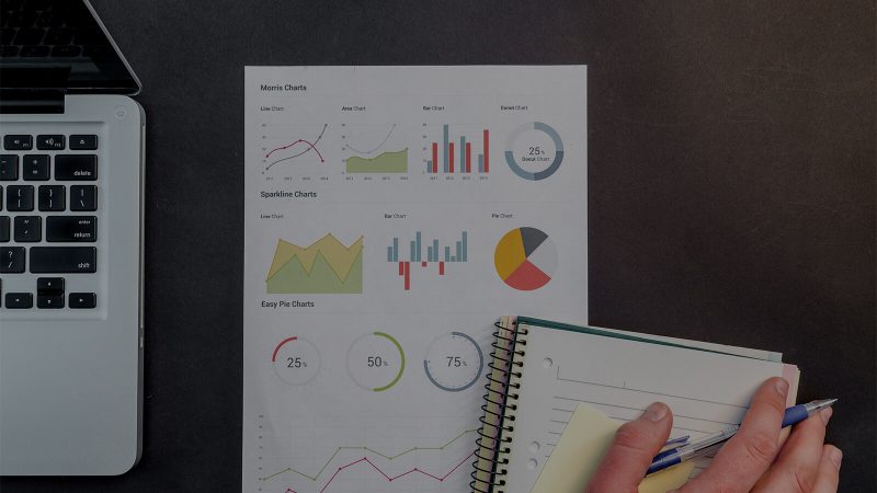 Best Web Application Development company in Jaipur
