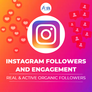 Instagram Follower and Engagement