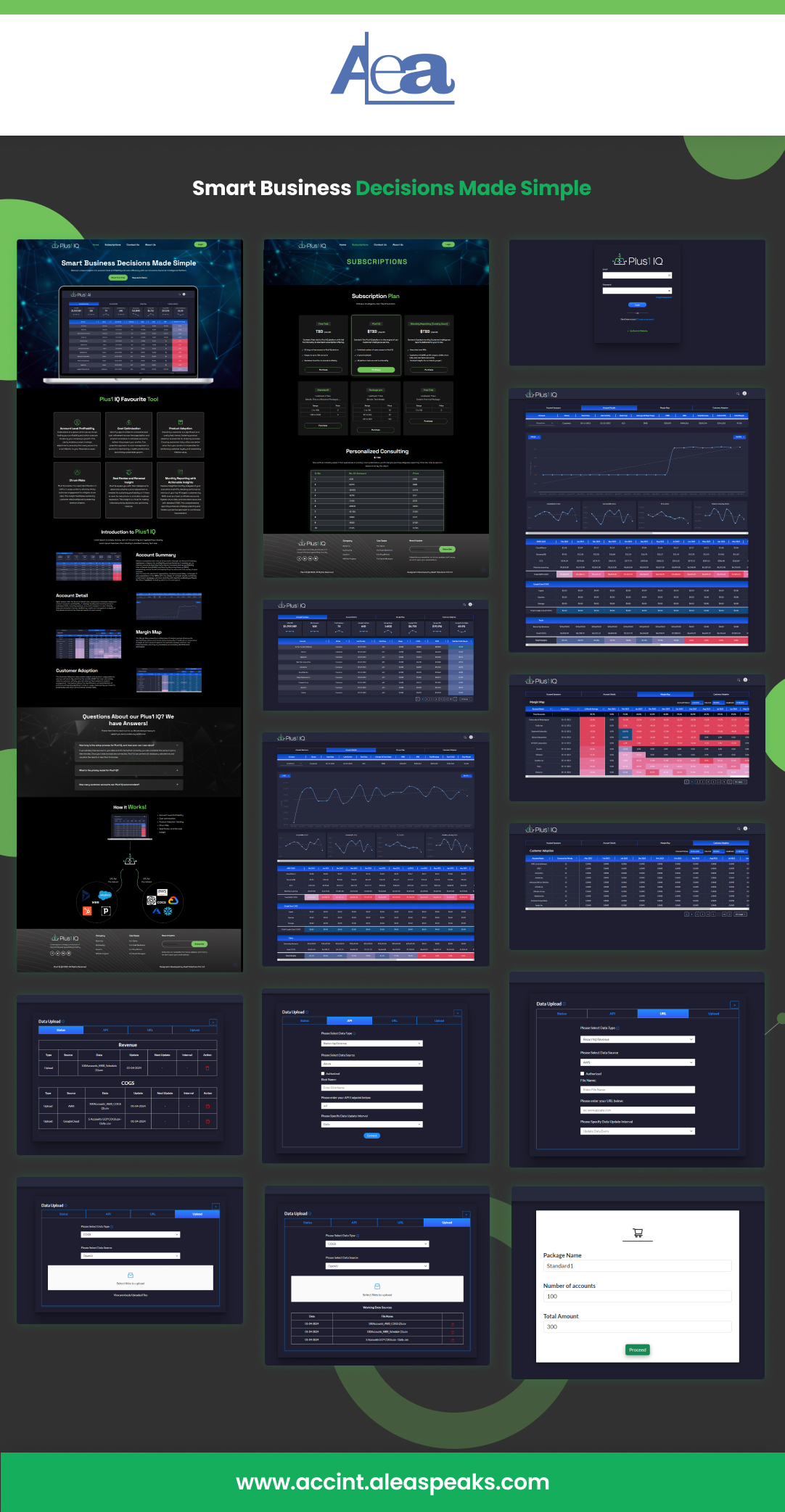 Cloud Based Business Intelligence