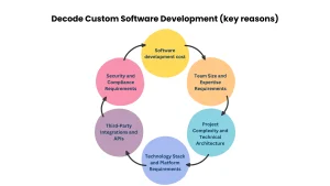 Key Reasons to Decode Custom Software Development Cost