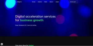 Netguru