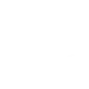 Logistics & Supply Chain