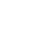 Auto/Motor Insurance 