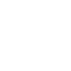 HR Executive