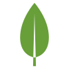 MERN Stack Developer