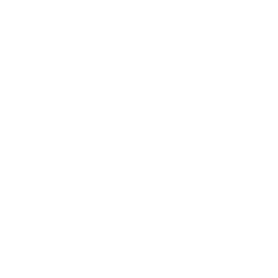 Process Icon