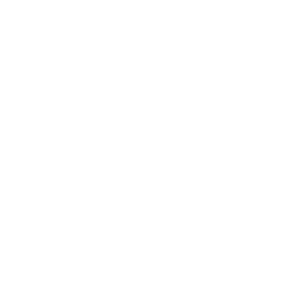 Process Icon