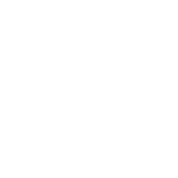 Process Icon