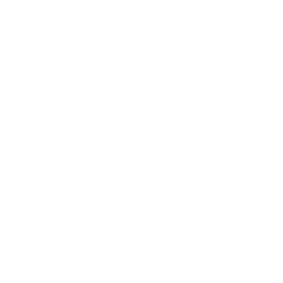 Process Icon