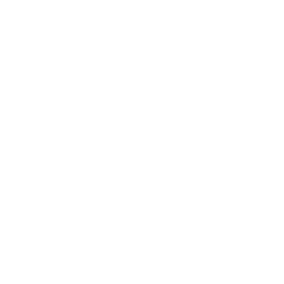 Process Icon