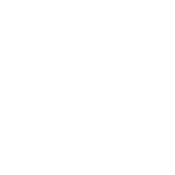 Feature Icon